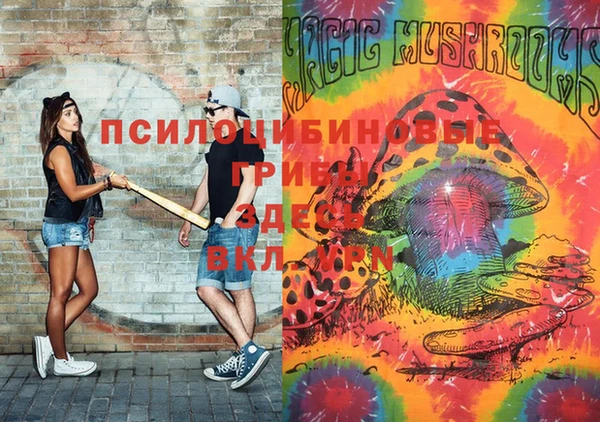 гидропоника Ладушкин