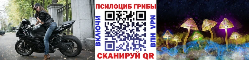Купить  Клин  Псилоцибиновые грибы прущие грибы 