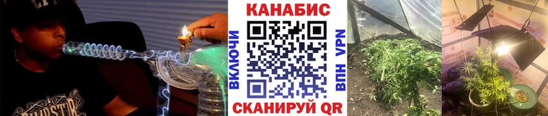Канабис семена  Купить где  Клин 